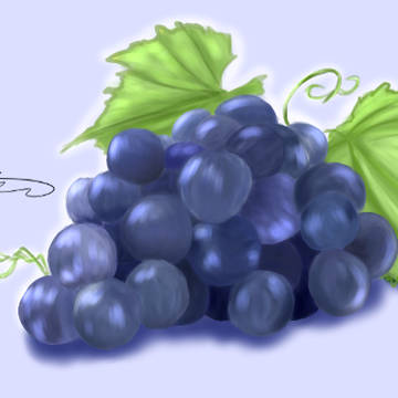 semi-realistic Grapes