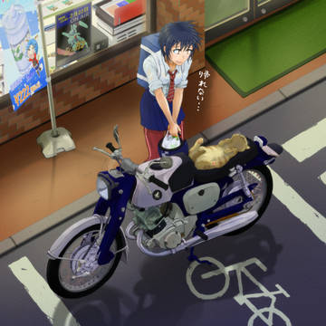 ニャン様に帰宅を邪魔されるJK