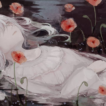 Amapola