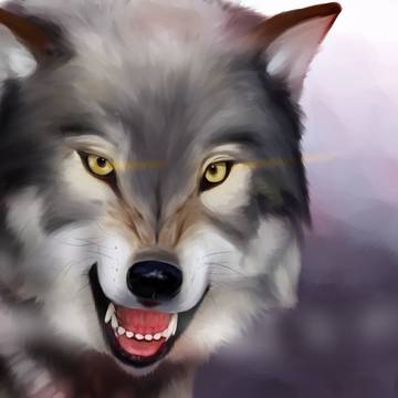 狼