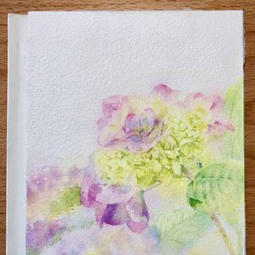 あじさい 紫阳花