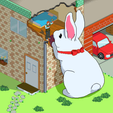 Giant rabbit