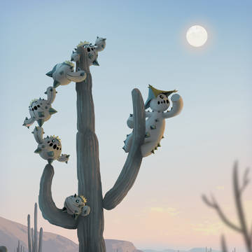 The Lookout