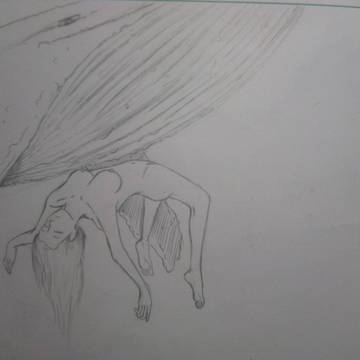 鲸落