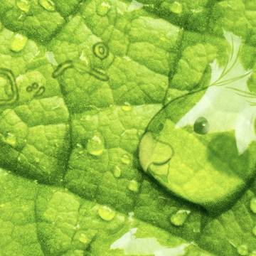 オカメドロップ