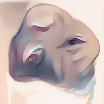 初めての自動着色
