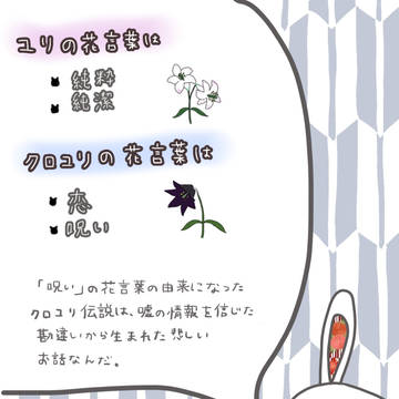 めいこい人狼