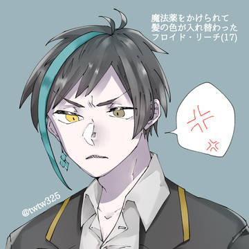 魔法薬をかけられて髪の毛の色が入れ替わった話