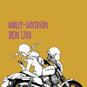 HARLEY-DAVIDSON IRON 1200