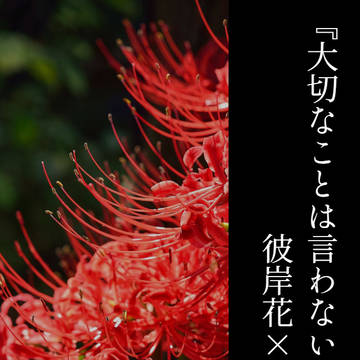 『大切なことは言わない』彼岸花×らんだざ
