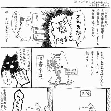 私の長期微熱キロク〜伝書ネコ編〜