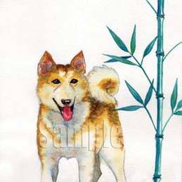 Akita and Bamboo