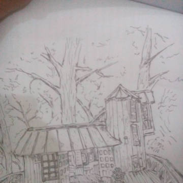 sketch