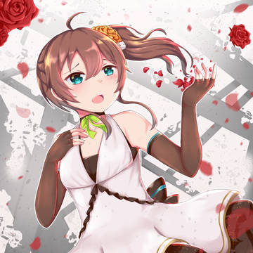 Matsuri Preserved Roses