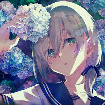 ハイドランジア