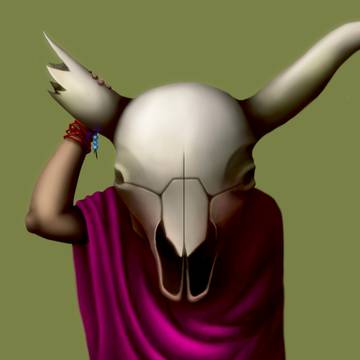 牛の頭蓋骨の構造がよくわからない