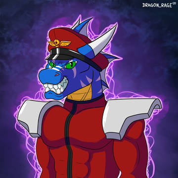 Radek Bison