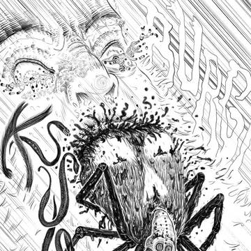 Skull Spider from the mouth