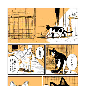 【創作】野良のボス猫が保護されようとする話