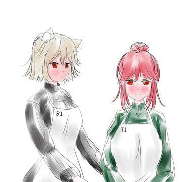 Bismarck and Titpitz in kitchen