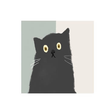 李三宝猫咪