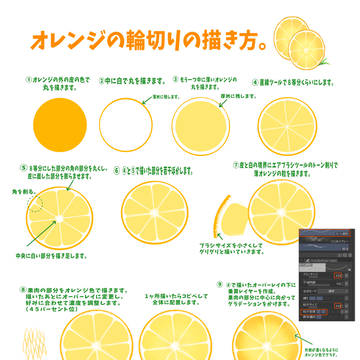 輪切りオレンジの描き方