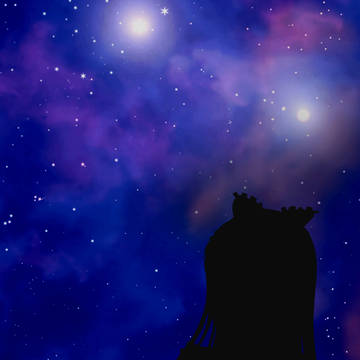 Star sapphire(｡･ω･｡)