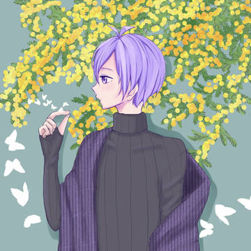 ミモザ