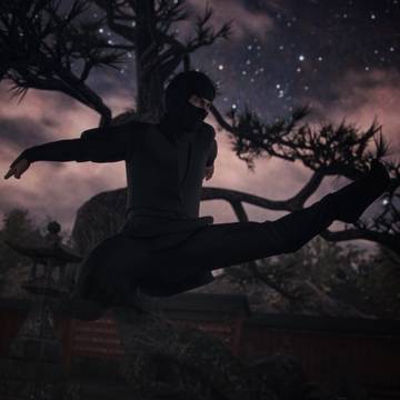 Shrine Ninja Night