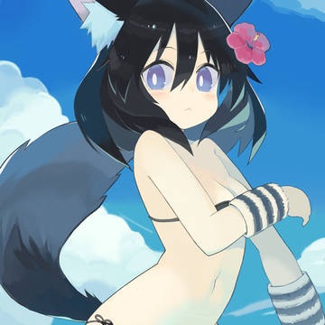 海と黒きつね