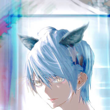 猫くん
