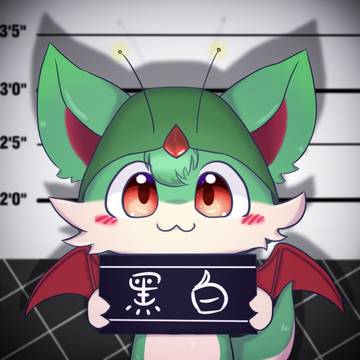 入狱照