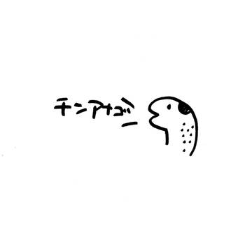 チンアナゴ