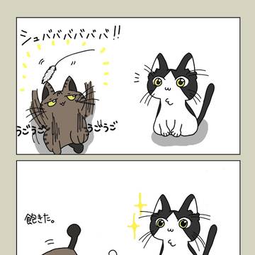 ハチミル1