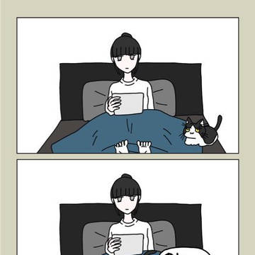 猫漫画2