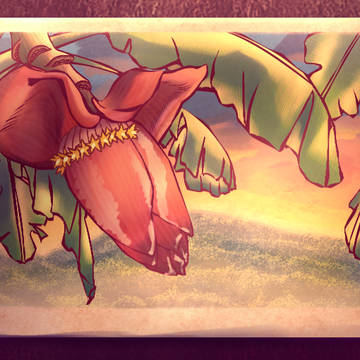Banana Flower
