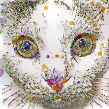 カモミールにゃんこ