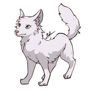 涂鸦练习•狼
