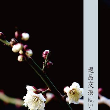返品交換はいたしかねます【表紙】