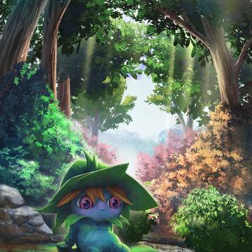 森の中のスポット