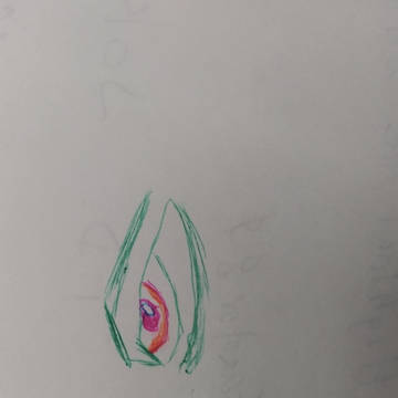 colored eyes