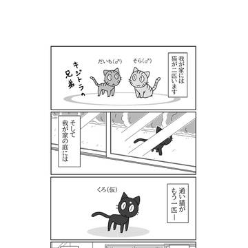 くろ（仮）