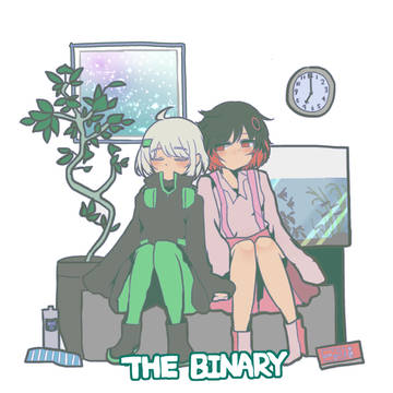 THE BINARY