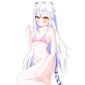 랑이 수영복
