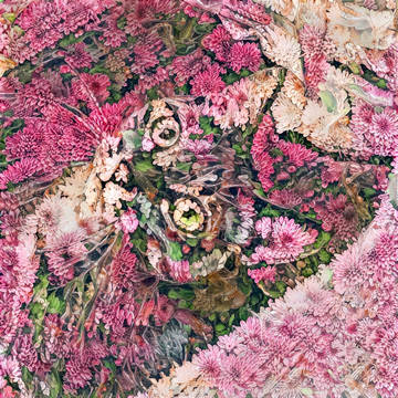 お花にゃんこ　バージョンアップ試作
