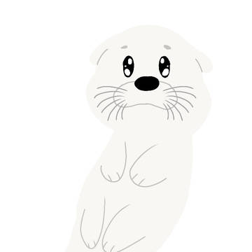 sea otter