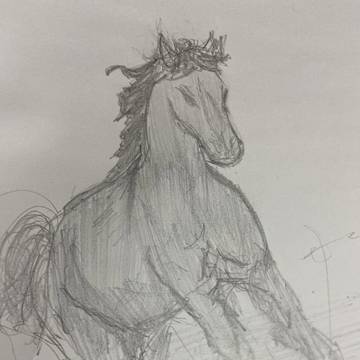 馬