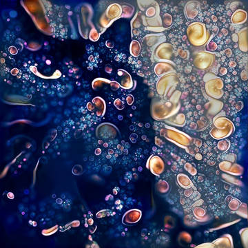 宇宙みたいなつぶつぶニャンコ
