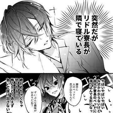 >>>突然だがリドル寮長が隣で寝ている<<<