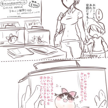 夏休みの自由研究